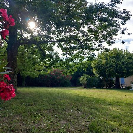 Le Petit Mas Des Alpilles En Provence Βίλα Saint-Étienne-du-Grès Εξωτερικό φωτογραφία