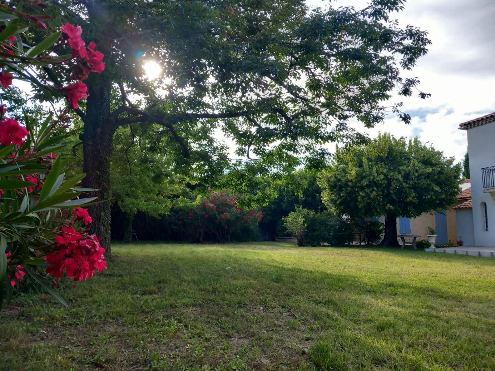 Le Petit Mas Des Alpilles En Provence Βίλα Saint-Étienne-du-Grès Εξωτερικό φωτογραφία